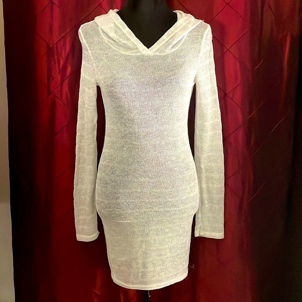 Shimmer Sheer Dress or Swim Suit Cover Up